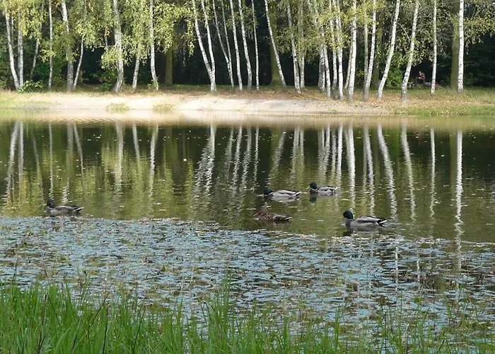 Miko 1 Познань